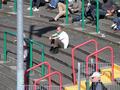 cloppenburg27092008_045.jpg