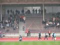 dortmund206122008_034.jpg