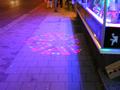 dortmund206122008_146.jpg