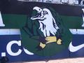 dortmund30052009_180.jpg