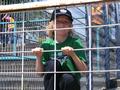 dortmund30052009_203.jpg