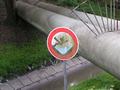 essen19042009_268.jpg