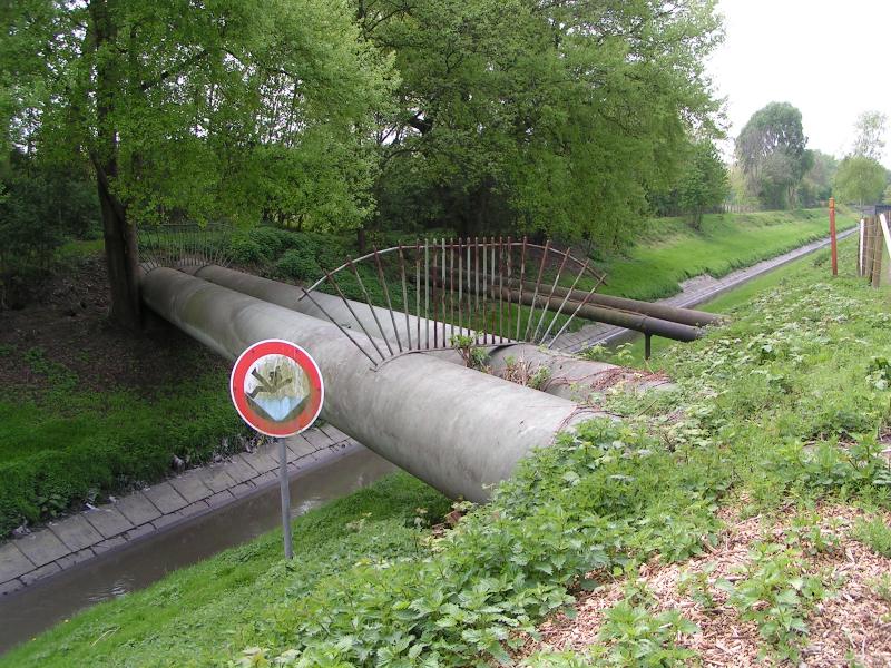 essen19042009_267.jpg