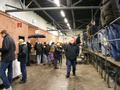 kleve011120085_242.jpg