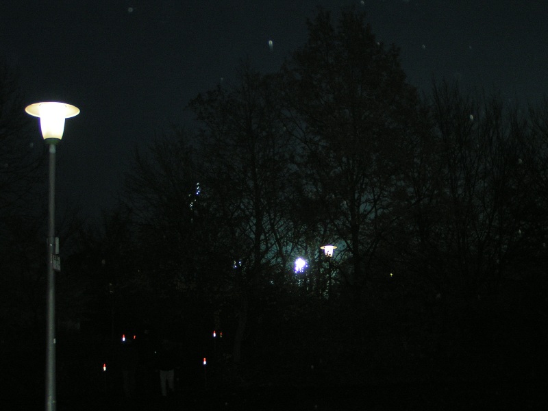 pict2985.jpg