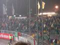 leverkusen14112008_017.jpg