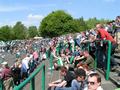 mainz25042009_058.jpg