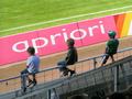 rangers13072008_440.jpg