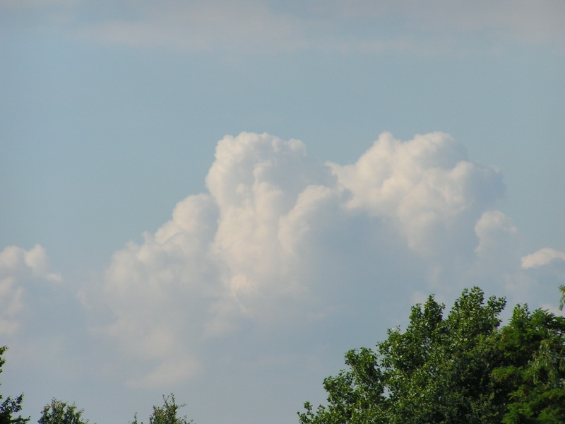 rangers13072008_444.jpg