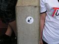 schalke17082008_176.jpg
