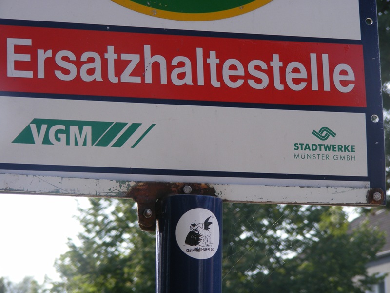 schalke17082008_234.jpg