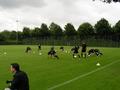training07072008_051.jpg