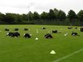 training07072008_059.jpg