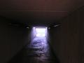training09102008_019.jpg