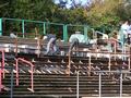 training09102008_026.jpg