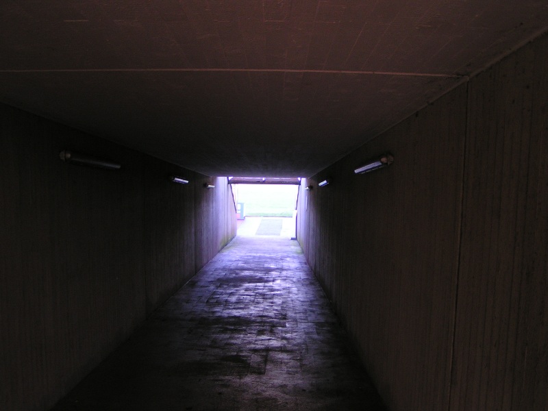 training09102008_019.jpg