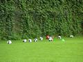 training22072008_063.jpg