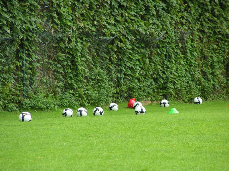 training22072008_063.jpg