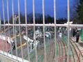 trier13032009_006.jpg
