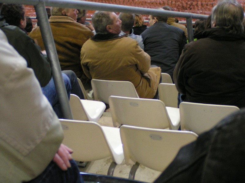 trier13032009_152.jpg