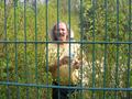 verl13042009_200.jpg