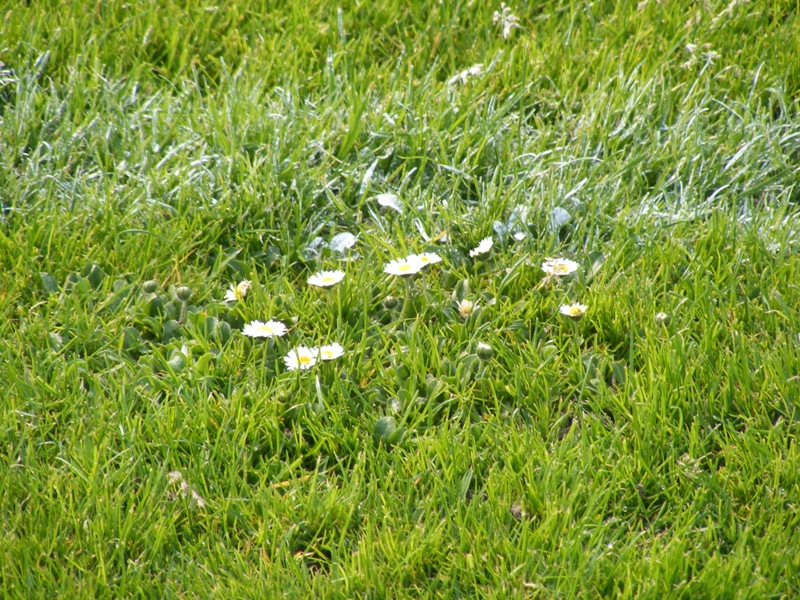 verl13042009_163.jpg