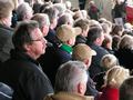 verl18102008_203.jpg