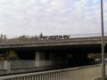 verl18102008_277.jpg