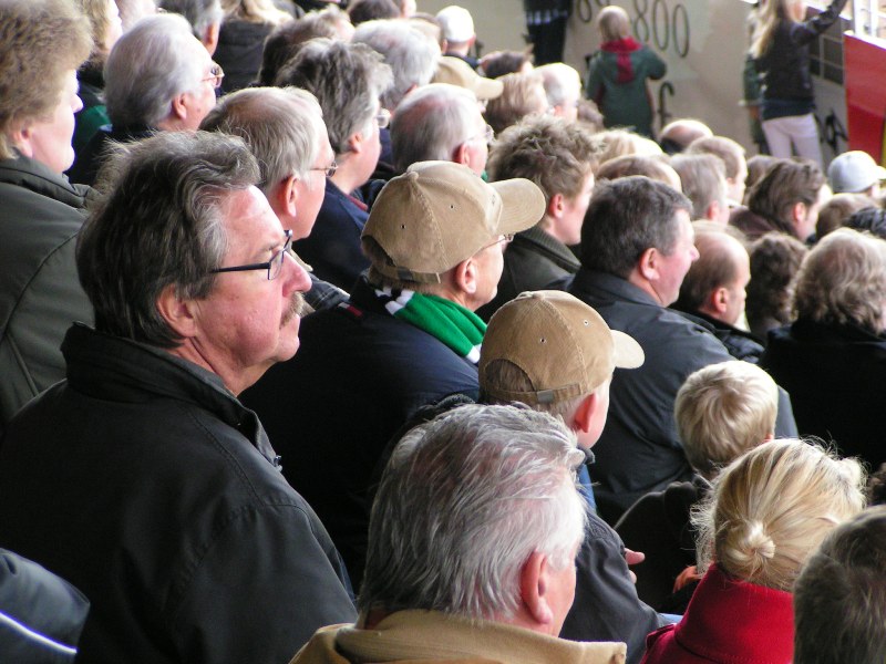 verl18102008_203.jpg