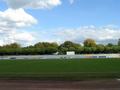 worms05102008_125.jpg