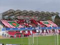 worms05102008_179.jpg