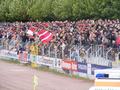 worms05102008_368.jpg