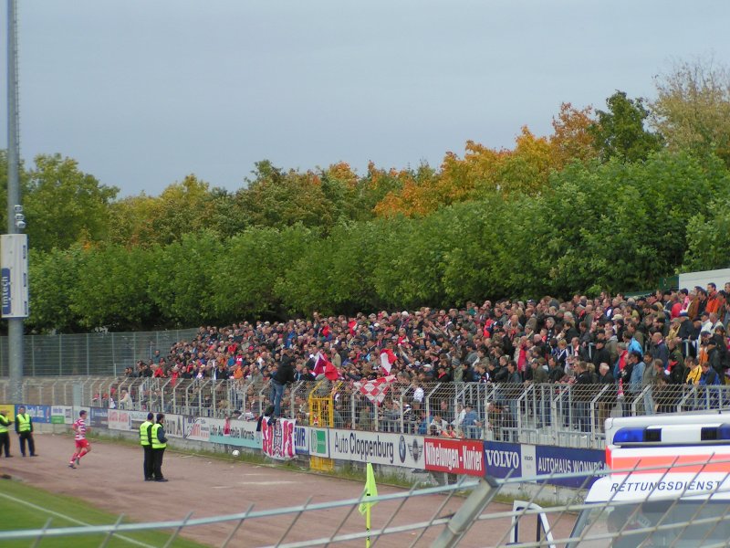 worms05102008_189.jpg