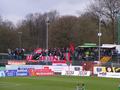worms28032009_020.jpg