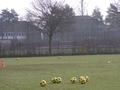 training15032011_011.jpg