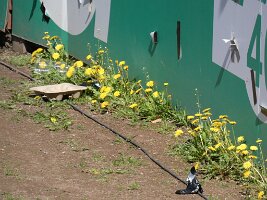 2025-04-26_darmstadt_31h_272