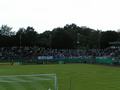dfbhertha0910_020.jpg