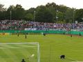 dfbhertha0910_052.jpg