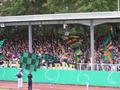 dfbhertha0910_089.jpg
