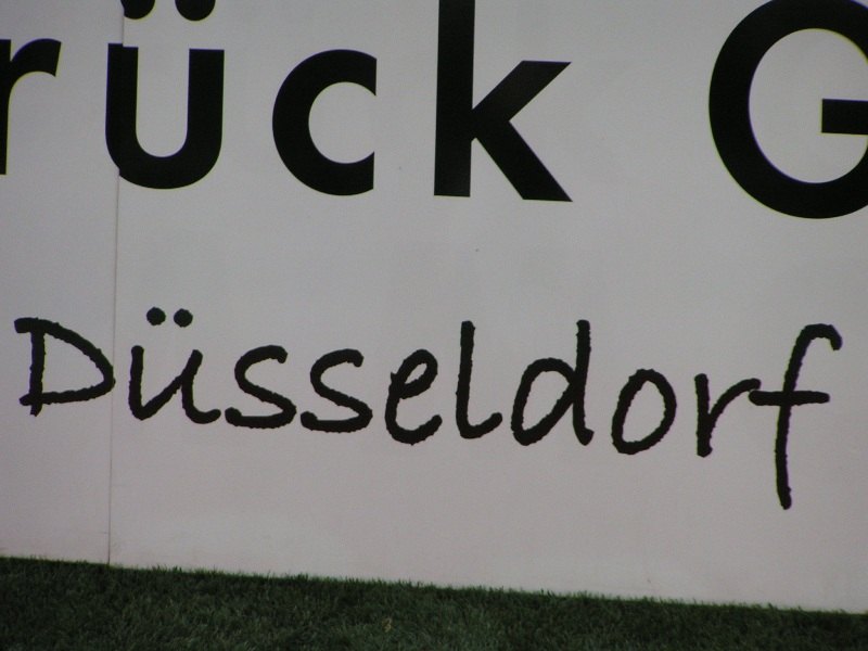 schalke21082009_337.jpg