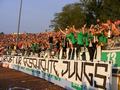 gladbach06052011_061.jpg
