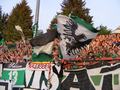 gladbach06052011_078.jpg
