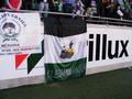 gladbach06052011_104.jpg