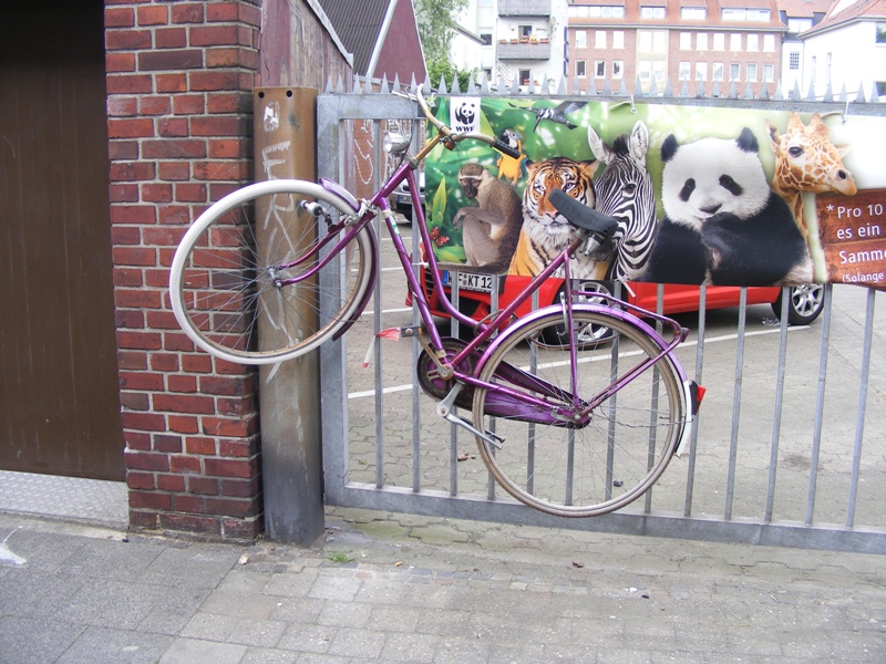 koeln13052011_001.jpg