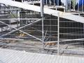 leverkusen17042011_363.jpg