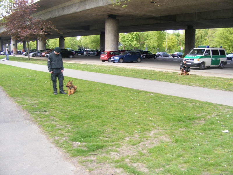 leverkusen17042011_347.jpg