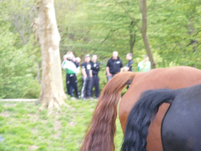 leverkusen17042011_414.jpg