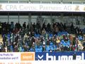 lotte12032011_121.jpg