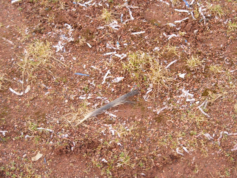 lotte12032011_075.jpg
