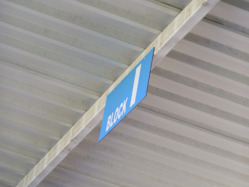 lotte12032011_100.jpg